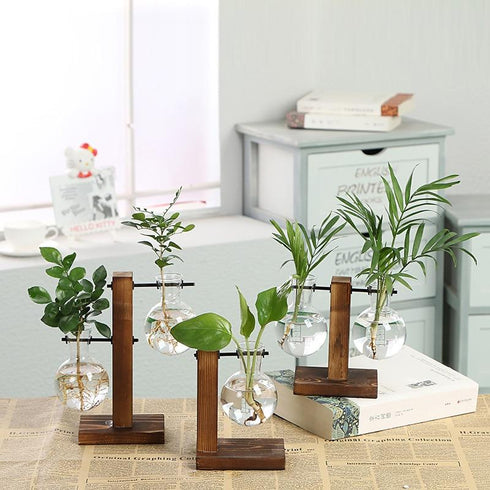 Hydroponic Vintage Vase